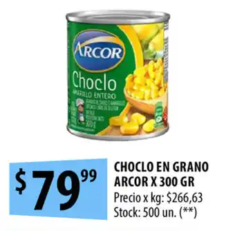 Punto Mayorista Arcor Choclo En Grano x 300 gr oferta