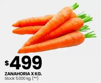Changomas ZANAHORIA X KG oferta