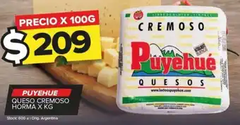 Carrefour Maxi PUYEHUE QUESO CREMOSO HORMA X KG oferta