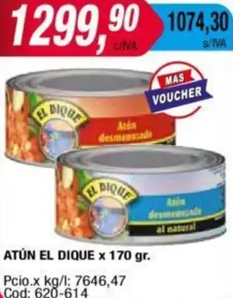 Maxiconsumo ATÚN EL DIQUE x 170 gr oferta