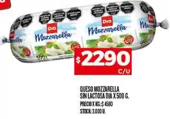 Supermercados DIA QUESO MOZZARELLA SIN LACTOSA DIA X 500G oferta