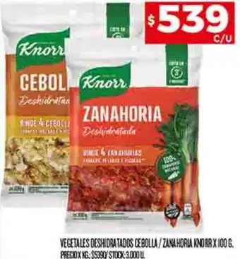 Supermercados DIA VEGETALES DESHIDRATADOS CEBOLLA/ZANAHORIA KNORR X 100G oferta