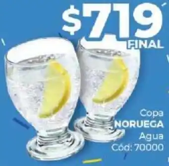 Copa NORUEGA Agua