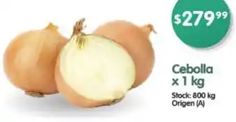 Supermercados Buenos Días Cebolla x 1kg oferta