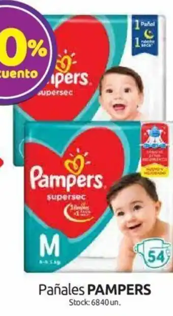 Pampers Pañales