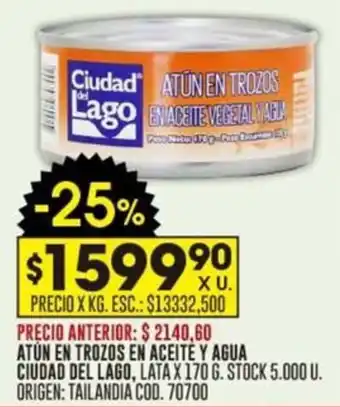 Coto ATÚN EN TROZOS EN ACEITE Y AGUA CIUDAD DEL LAGO LATA X 170G oferta