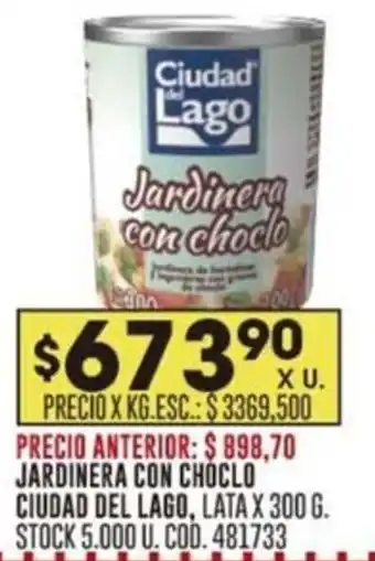 Coto JARDINERA CON CHOCLO CIUDAD DEL LAGO LATA X 300G oferta