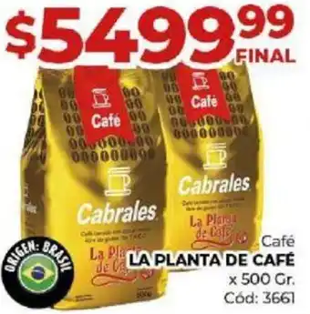 Diarco Café LA PLANTA DE CAFÉ x 500gr oferta