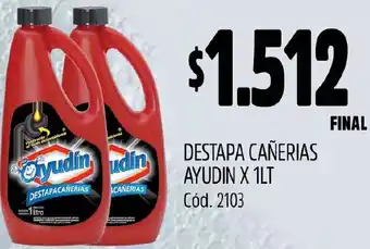 Supermercados Yaguar DESTAPA CAÑERIAS AYUDIN X 1LT oferta