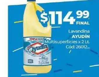 Diarco Lavandina Ayudín Multisuperficies x 2lt oferta