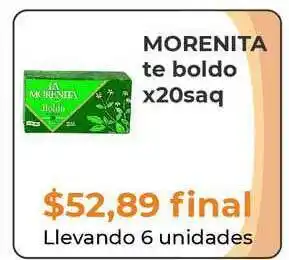 Morenita Te Boldo X20saq