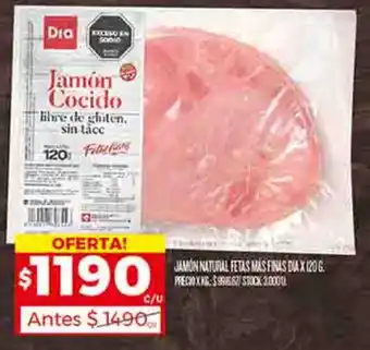 Supermercados DIA Jamón Cocido X 120G oferta