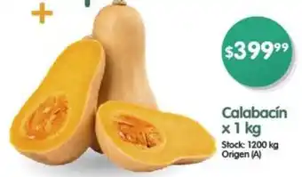 Calabacín x 1kg