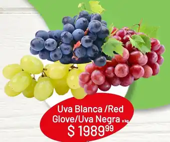 Makro Uva Blanca /Red Glove/Uva Negra x kg oferta