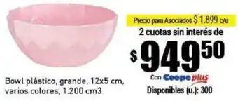 Cooperativa Obrera Bowl plástico, grande, 12x5 cm, varios colores, 1.200 cm3 oferta