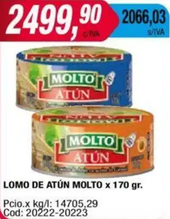 Maxiconsumo LOMO DE ATÚN MOLTO x 170gr oferta