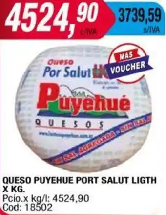 Maxiconsumo QUESO PUYEHUE PORT SALUT LIGTH X KG oferta