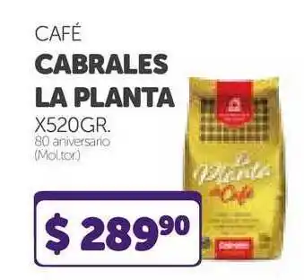 Café Cabrales La Planta 520gr