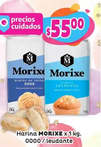 Morixe Harina x 1Kg. 0000 / Leudante