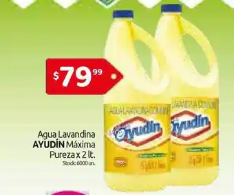 Cordiez Ayudín Agua Lavandina Máxima Pureza x 2 lt. oferta