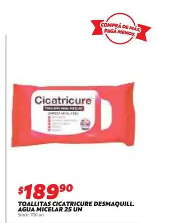 Ferniplast Toallitas Cicatricure Desmaquill. Agua Micelar 25un oferta