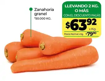 La Anonima Zanahoria granel 50.000kg oferta