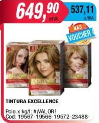 Maxiconsumo Tintura Excellence oferta