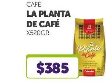 La Gallega Supermercados Café La Planta De Café x 520 gr oferta