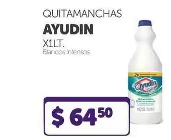 La Gallega Supermercados Quitamanchas Ayudin x 1 lt oferta