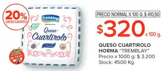 Carrefour QUESO CUARTIROLO HORMA X 100G oferta
