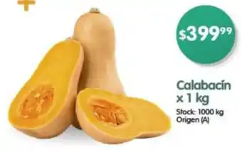 Supermercados Buenos Días Calabacín x 1kg oferta