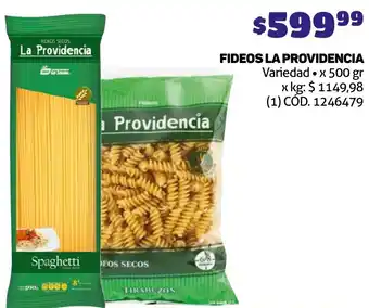 Makro FIDEOS LA PROVIDENCIA Variedad x 500gr oferta