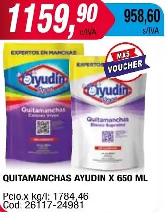 Maxiconsumo QUITAMANCHAS AYUDIN X 650ML oferta