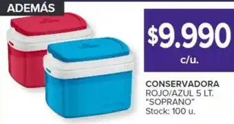 Carrefour ADEMÁS CONSERVADORA ROJO/AZUL 5LT oferta