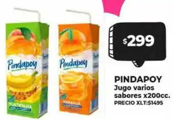 PINDAPOY Jugo varios sabores x 200cc