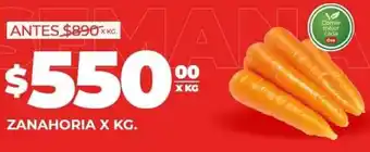 Supermercados DIA ZANAHORIA X KG oferta