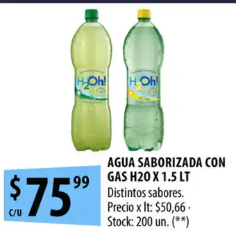 Punto Mayorista Agua Saborizada Con Gas H20 x 1.5lt oferta