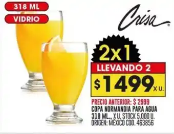 Coto COPA NORMANDIA PARA AGUA 318ML oferta