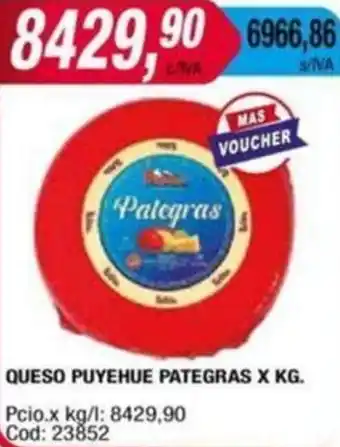 Maxiconsumo QUESO PUYEHUE PATEGRAS X KG oferta