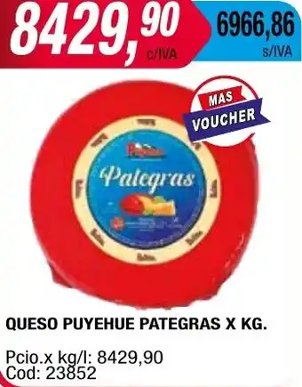 Maxiconsumo QUESO PUYEHUE PATEGRAS X KG oferta