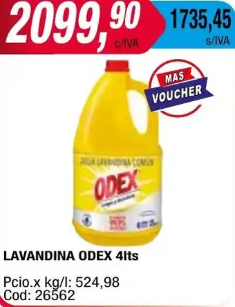 Maxiconsumo LAVANDINA ODEX 4lt oferta