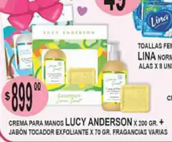 Delfin Supermercados Lucy Anderson Crema Para Manos x 200gr oferta