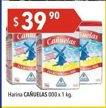 Hergo Harina Cañuelas x 1kg oferta