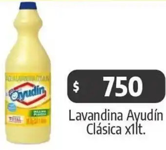 Autoservicio Capo Lavandina Ayudín Clásica x1lt oferta