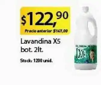 Supermercados Damesco X5 Lavandina bot. 2lt. oferta