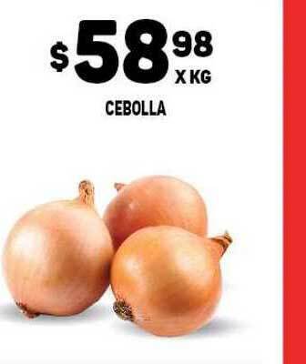 Makro Cebolla x kg oferta