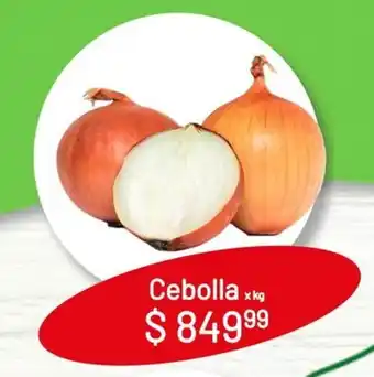 Makro Cebolla x kg oferta