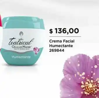 Supermercados DIA Crema Facial Humectante oferta