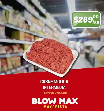 Blow Max Carne Molida Intermedia 3kg oferta