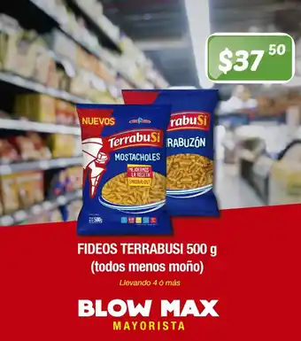 Blow Max Fideos Terrabusi 500g (Todos menos Moño) oferta